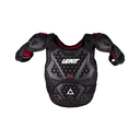 Peto 1.5 Pro Mini